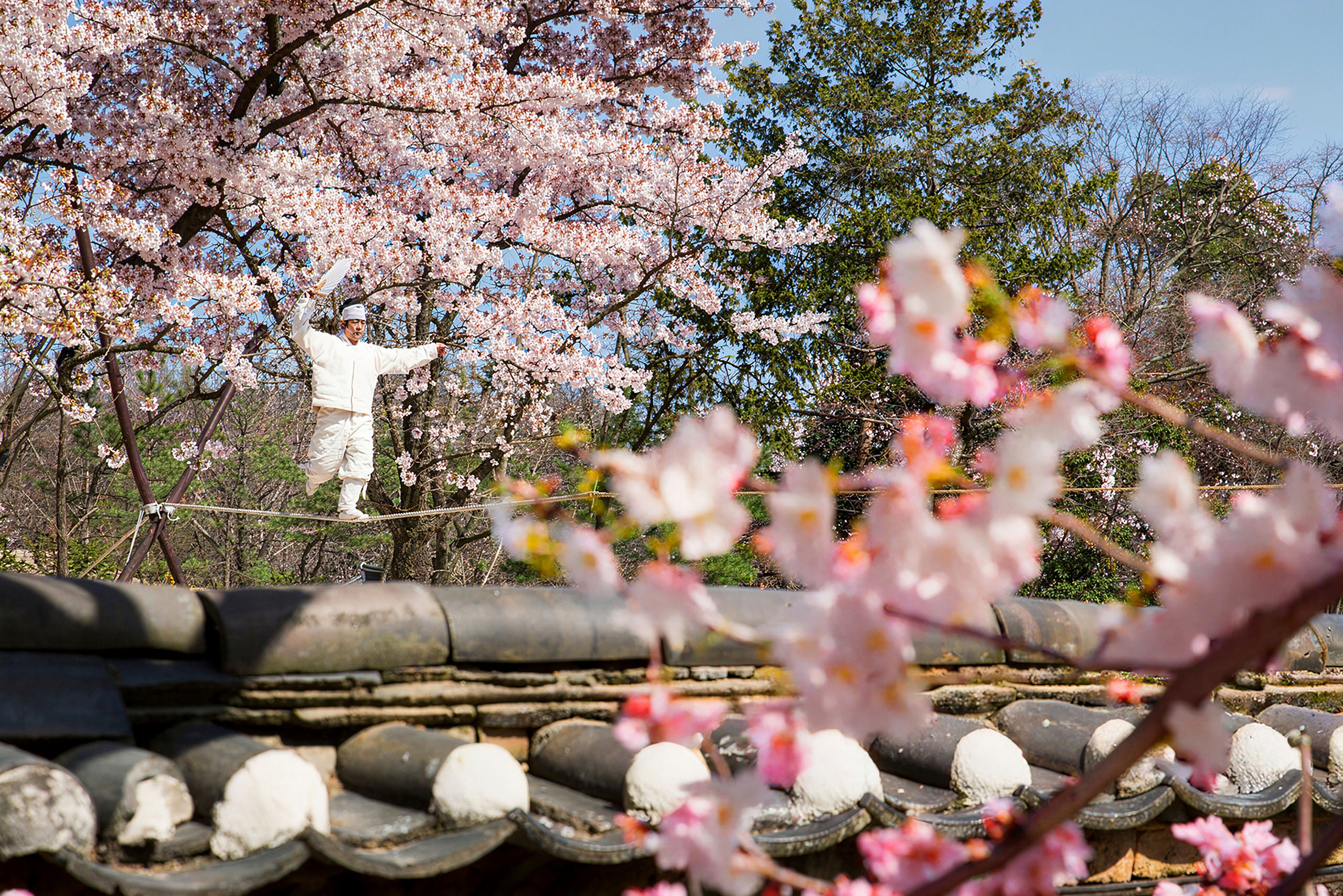 在韓國民俗村欣賞各式各樣的精彩表演。 在韓國民俗村欣賞各式各樣的精彩表演。