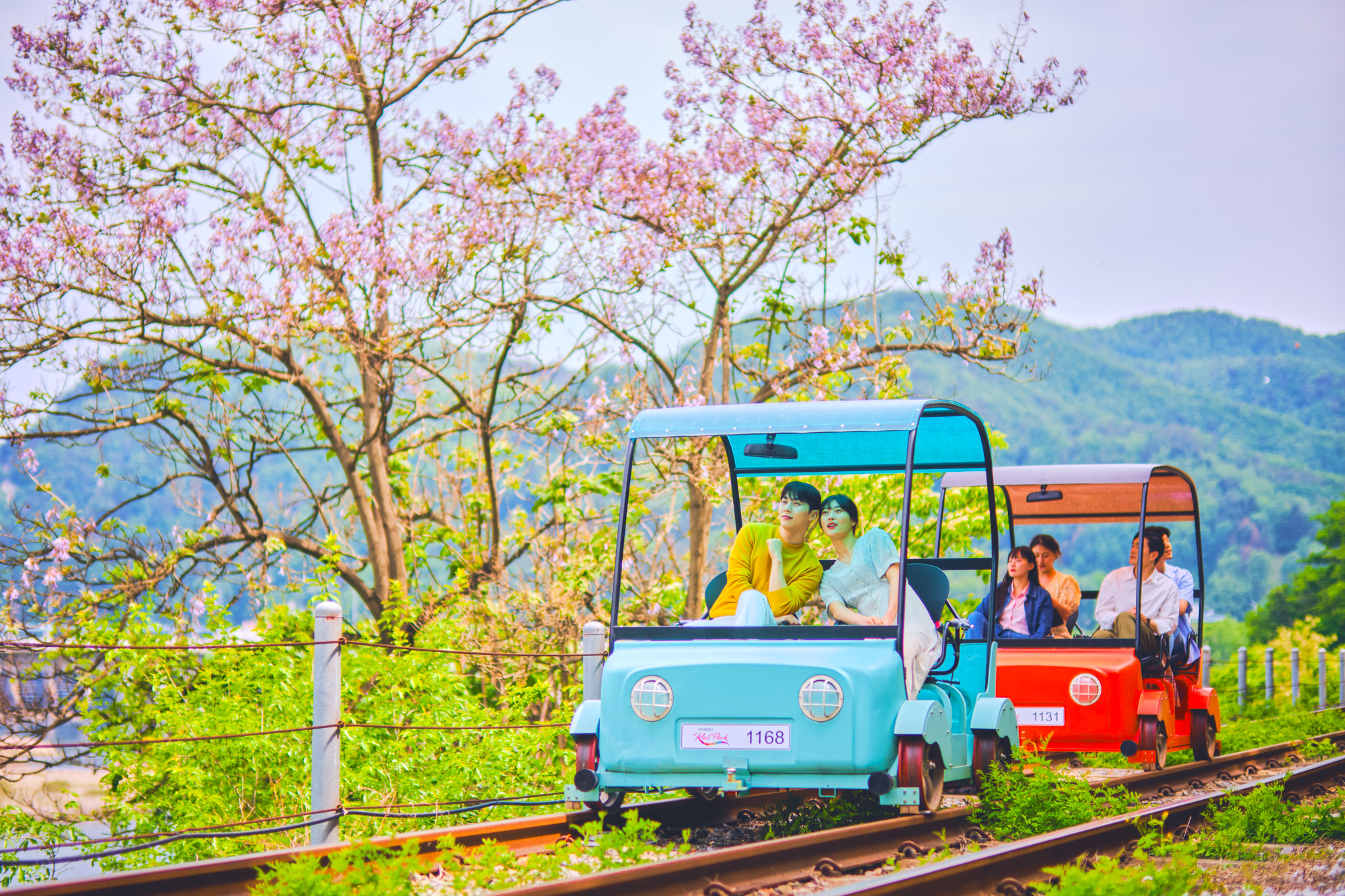 來場獨特的鐵道自行車之旅，在舊鐵軌上盡情馳騁。
