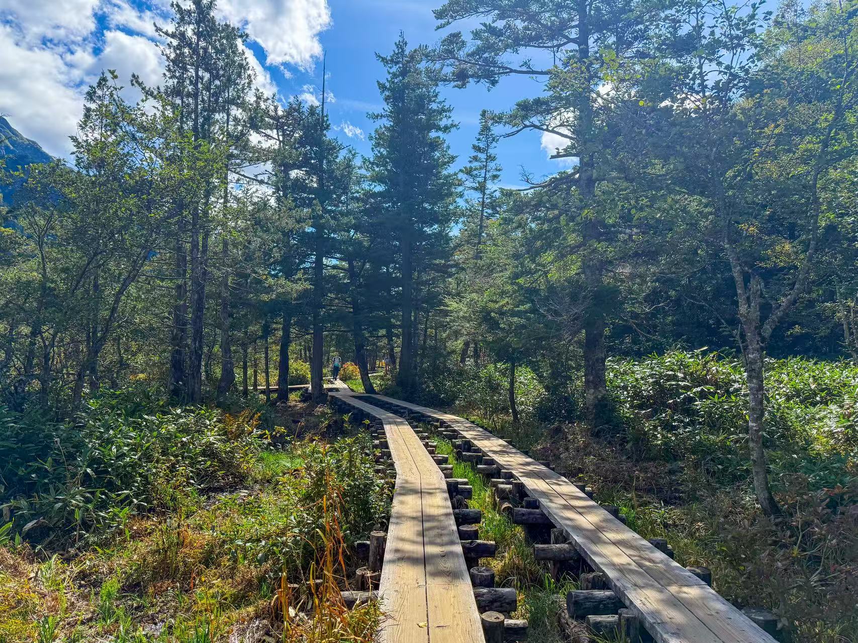 岳澤濕地徒步路 岳澤濕地徒步路