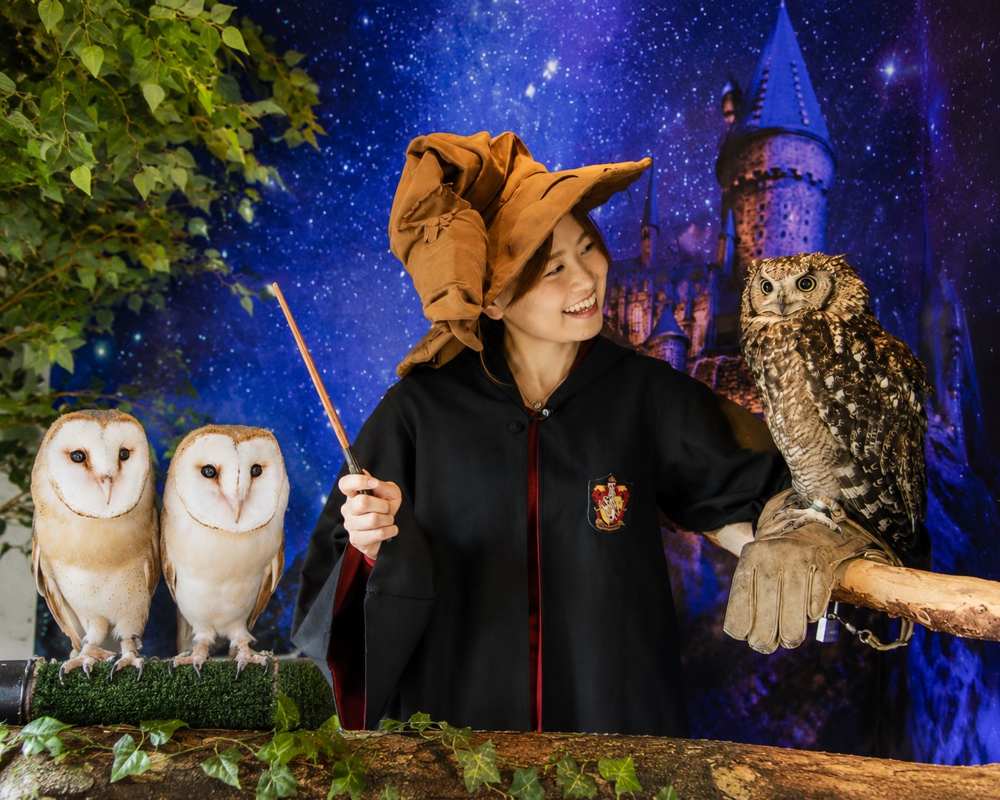 湯布院貓頭鷹之森（Owl's Forest）位於湯之坪街道的人氣景點「貓頭鷹之森」，讓旅客有機會近距離觀察來自世界各地的貓頭鷹。從體型嬌小的貓頭鷹到威風凜凜的大型品種，每隻都擁有獨特魅力。店內打造充滿奇幻氛圍的空間，彷彿進入魔法世界一般，是由布院極具特色的體驗設施之一。
