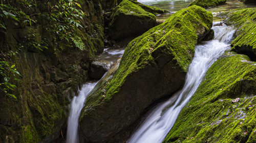 Wulong Karst Tourist Area