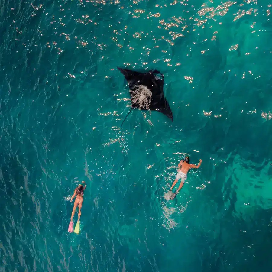 納閩巴焦 (Labuan Bajo) 出發科莫多島 (Komodo) 拼船一日遊