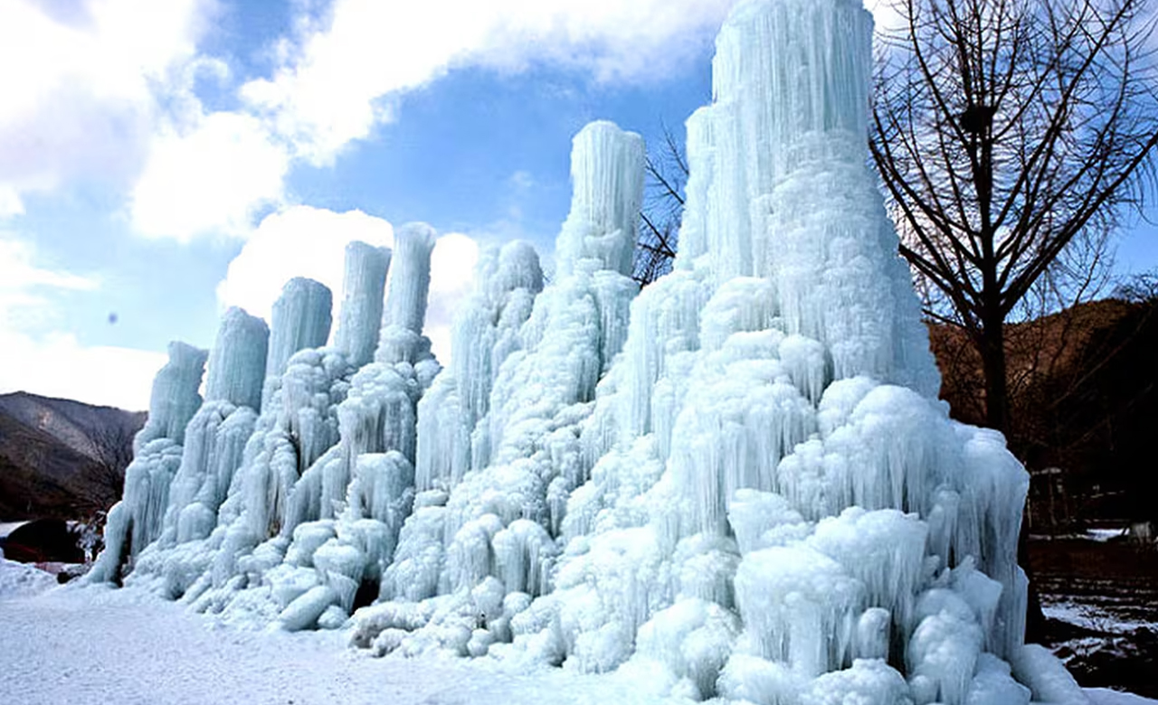 一年一度的冬季奇觀，您不容錯過。