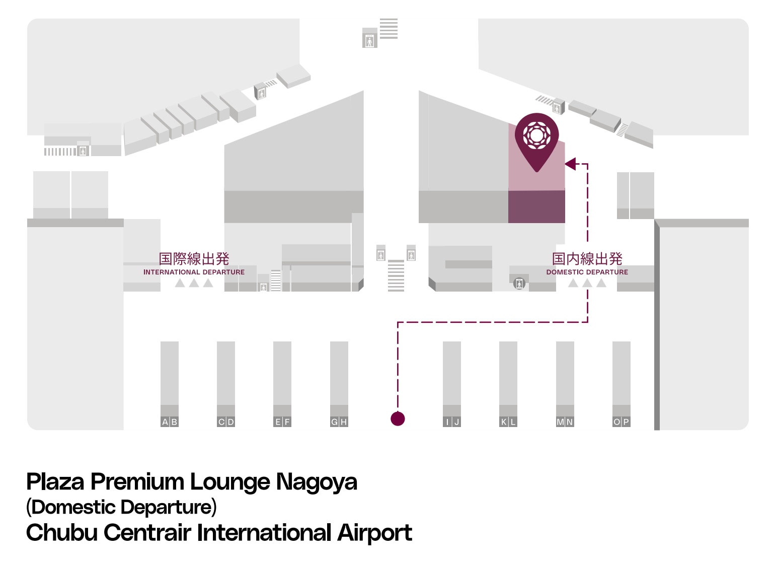 Nagoya aeroporti zali
