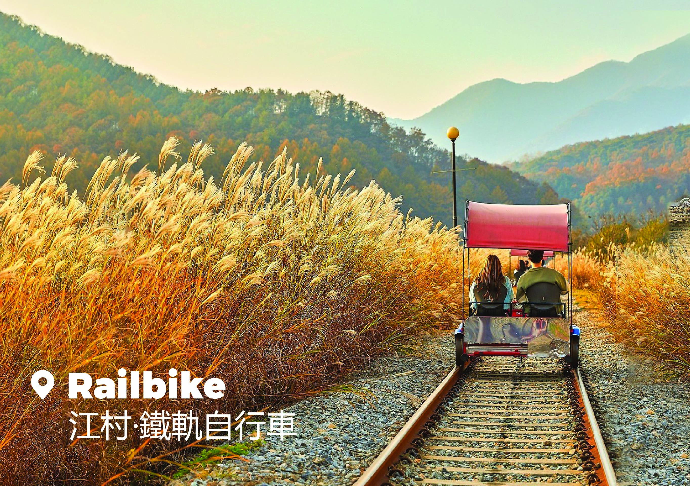 南怡島 & 彩虹之森 & 快樂草原牧場 & 鐵道自行車