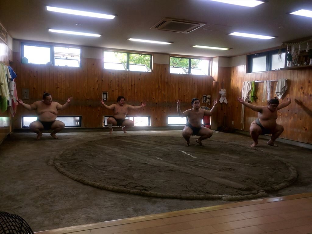 東京相撲晨練參觀體驗