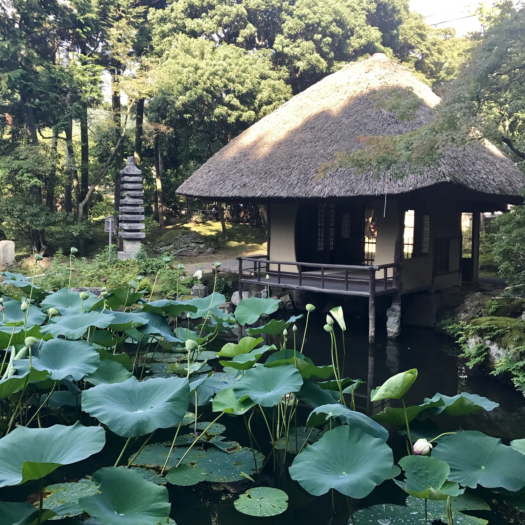 京都日式花園茶道體驗