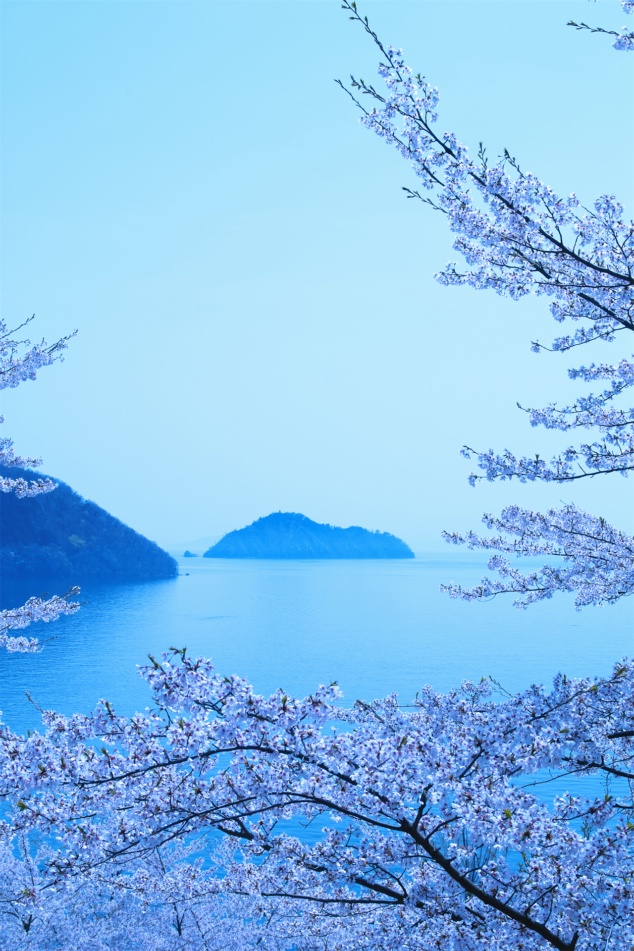 Lake Biwa Observatory, Shirahige Shrine, and Mangetsu-ji Temple Floating Temple Day Trip