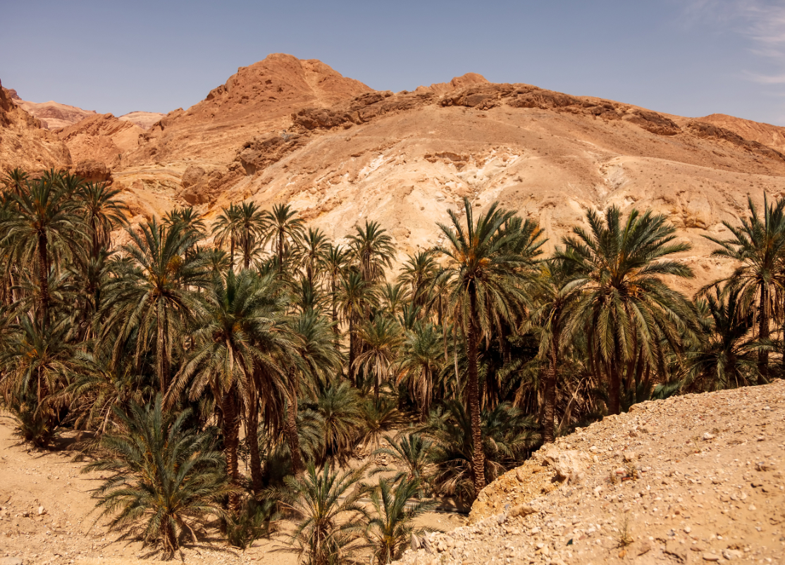 3-Day Private Tour to Marrakech Via Merzouga Desert From Agadir