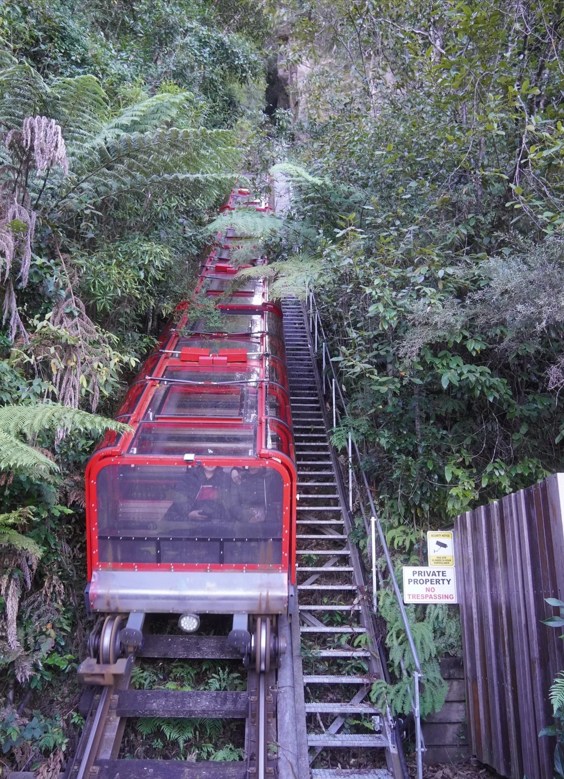 Blue Mountains & Sydney Zoo Small Group Tour with Chinese Guide