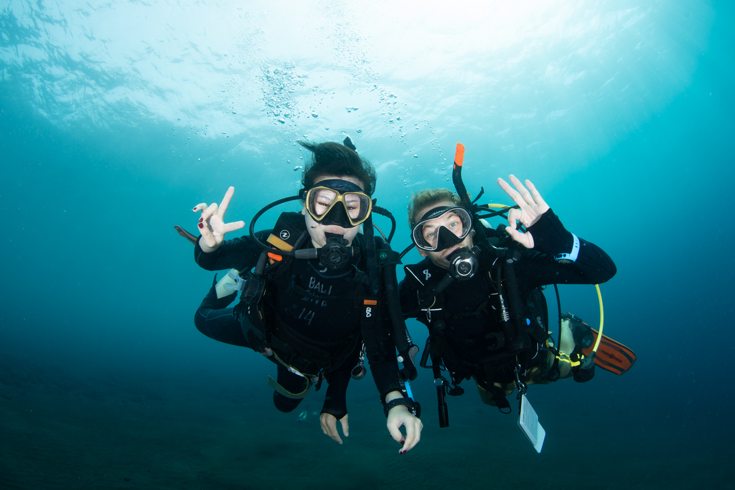 PADIディスカバースキューバダイビング（バリ / PADI 5 Star Dive Resort提供）