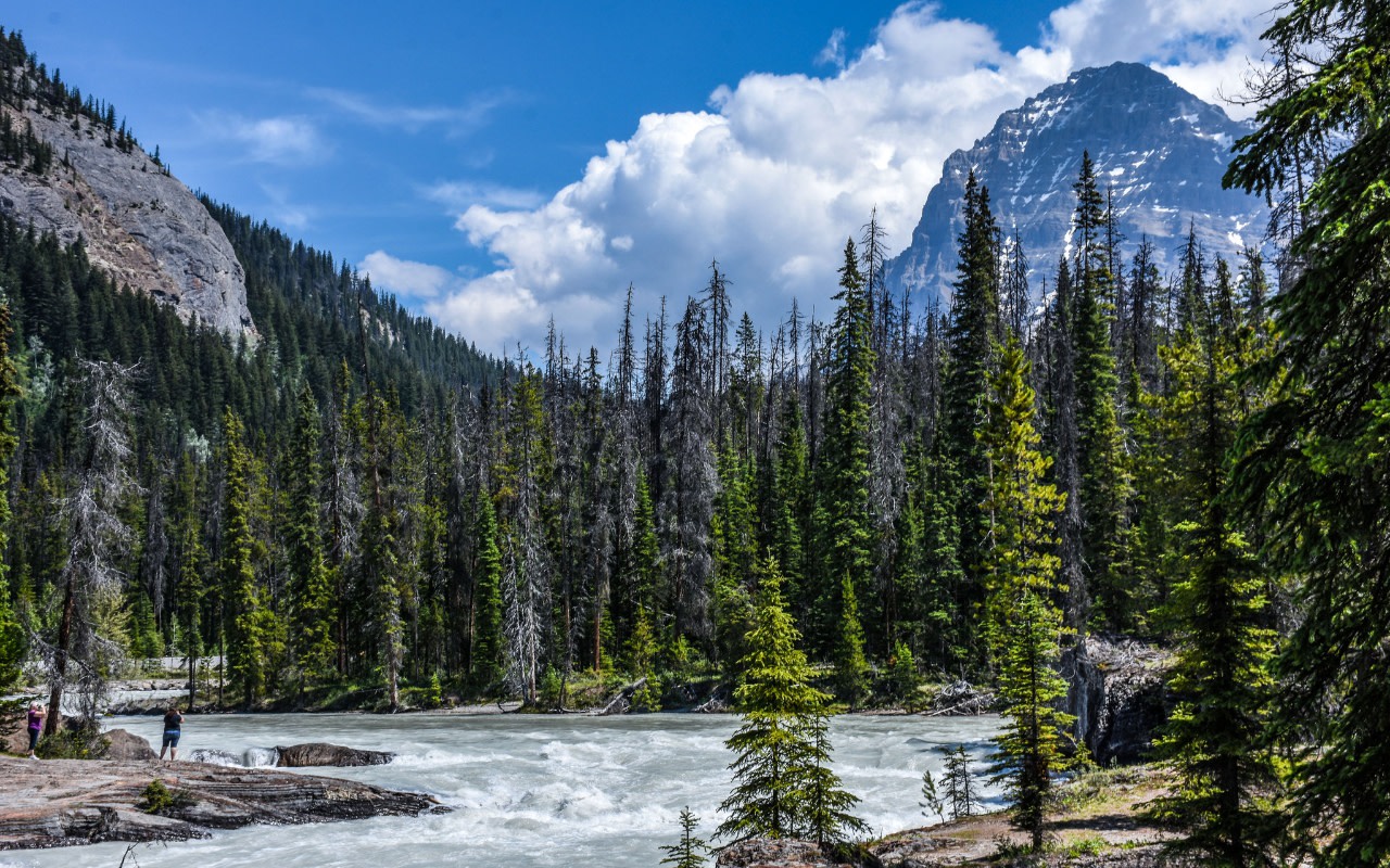 Marble Canyon and Lake Louise Full-Day Sightseeing Tour