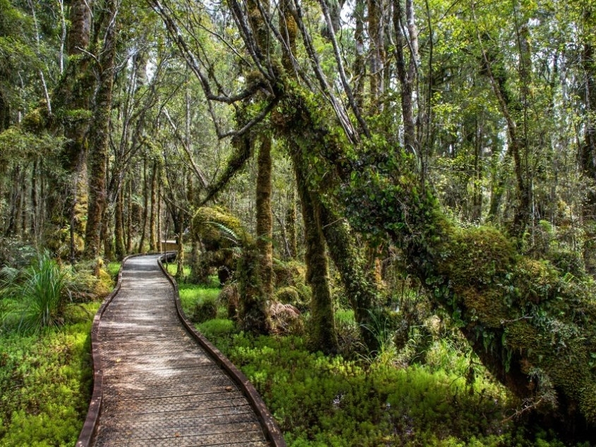 Franz Josef to Wanaka Small Group Tour