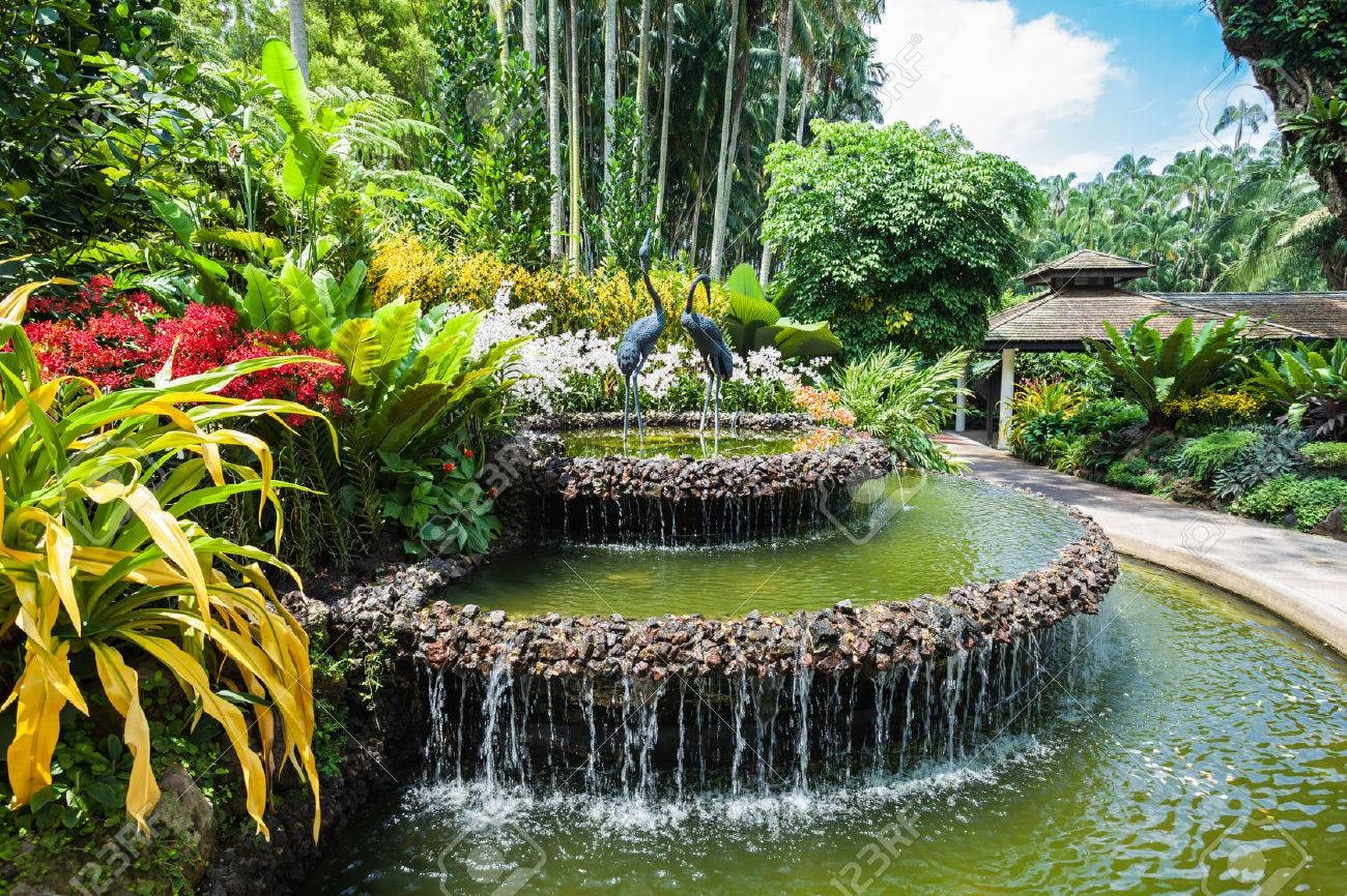新加坡國家蘭花園 (National Orchid Garden Singapore)
