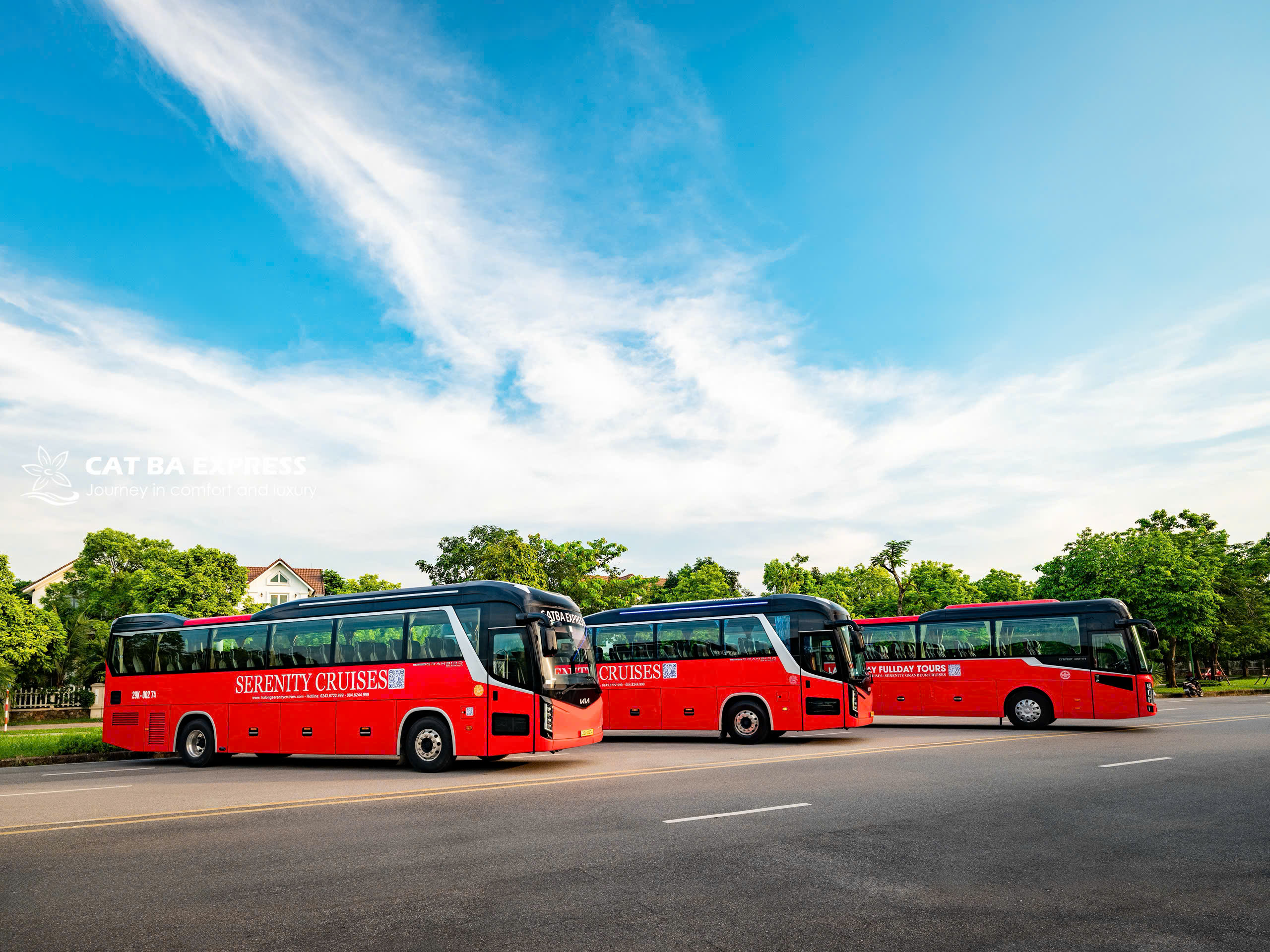 觀光巴士 觀光巴士