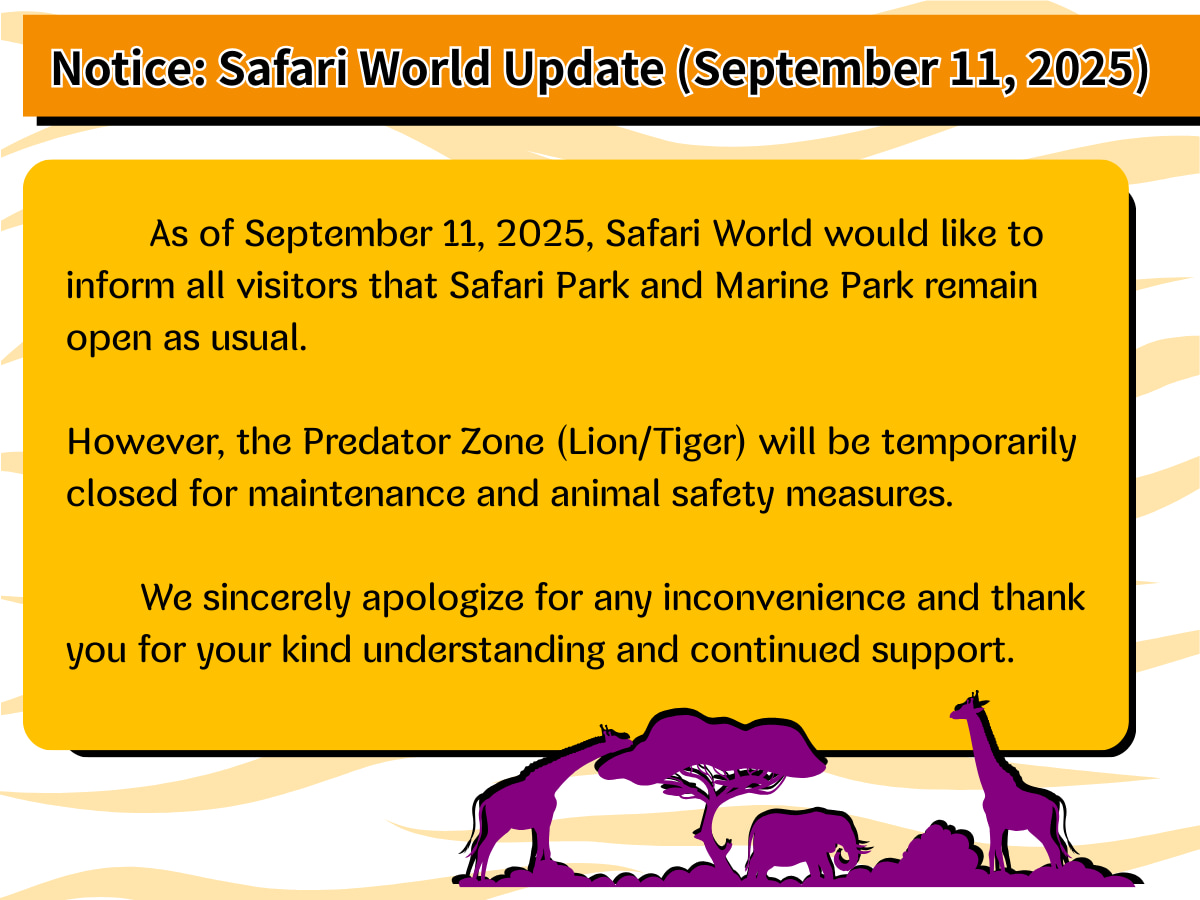 曼谷賽佛瑞野生動物園最新消息（自2025年9月11日起）：
野生動物園及海洋公園維持開放。
掠食者區（獅子／老虎）因維護及安全考量暫時關閉。