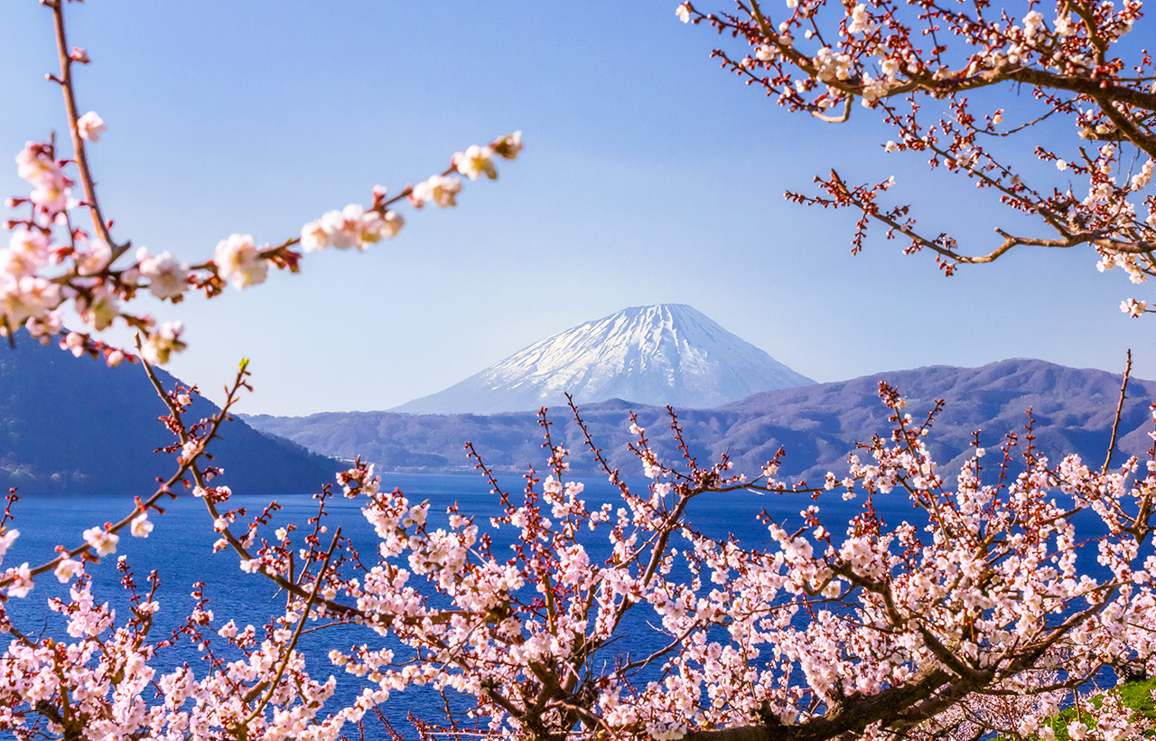 登別地獄谷+野外足浴體驗+洞爺湖地區觀光+昭和新山和熊牧場+洞爺湖展望臺