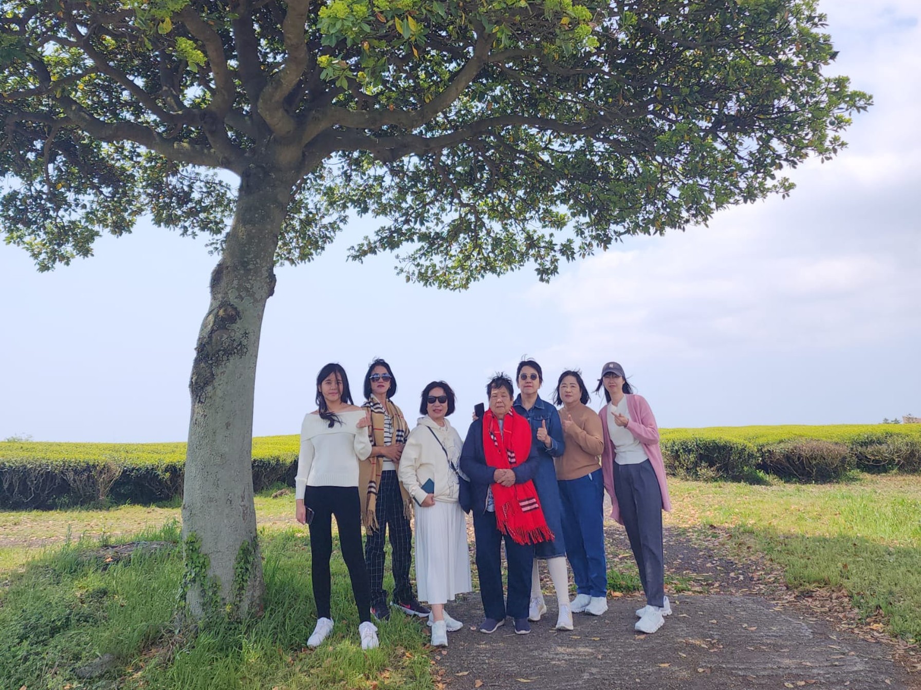 濟州島東部／西部／南部聯合國教科文組織景點一日遊