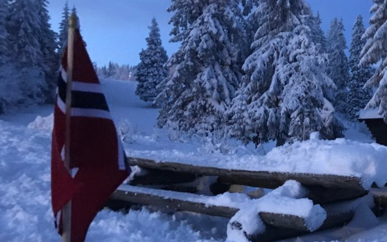 Soaking in the serene beauty of a snowy Norwegian winter morning