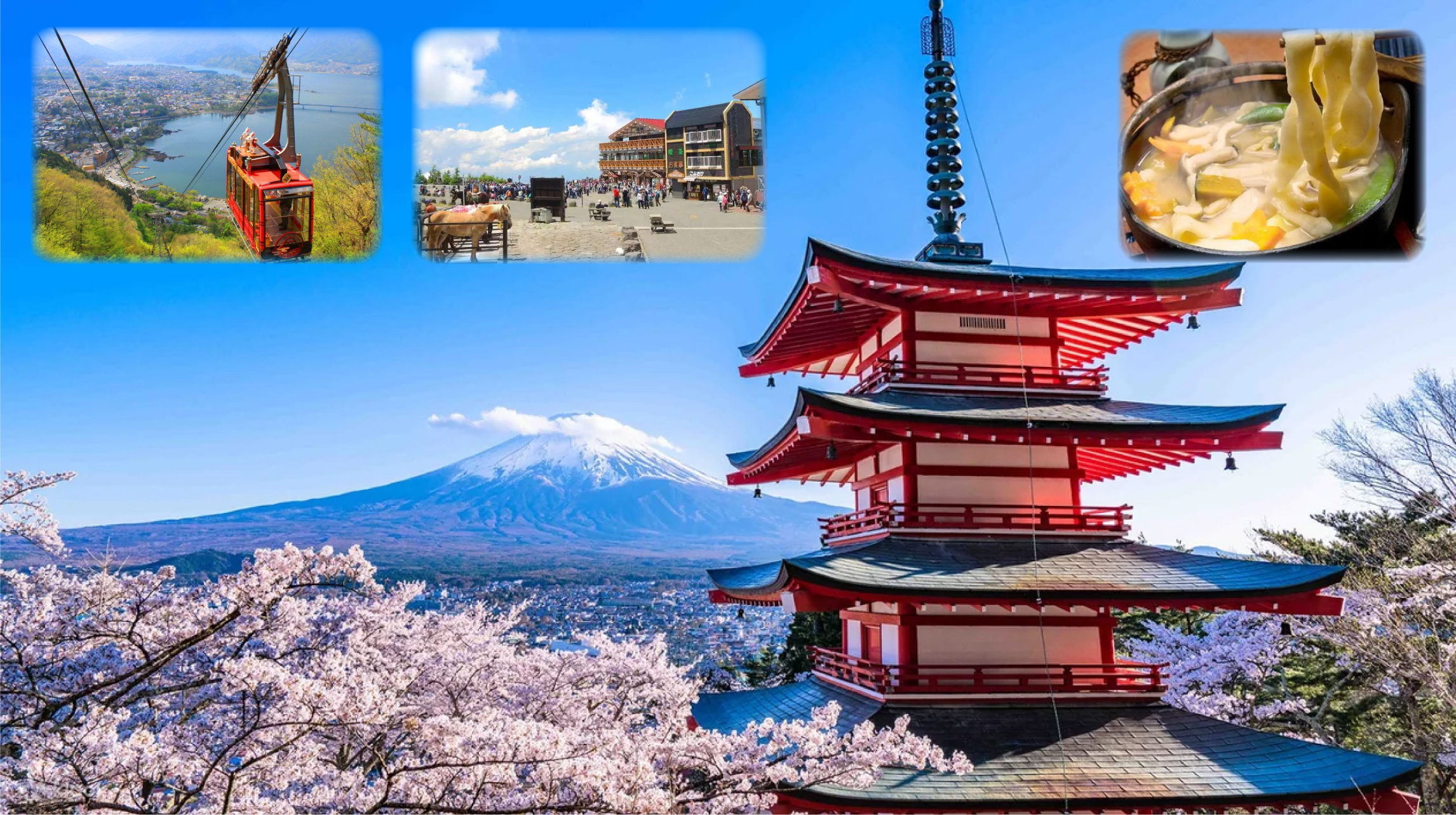  Experience The Beauty Of Cherry Blossoms In Tokyo And Mount Fuji On A 