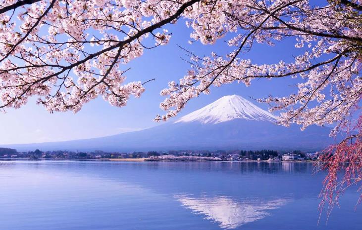 mt fuji classic route day tour from tokyo