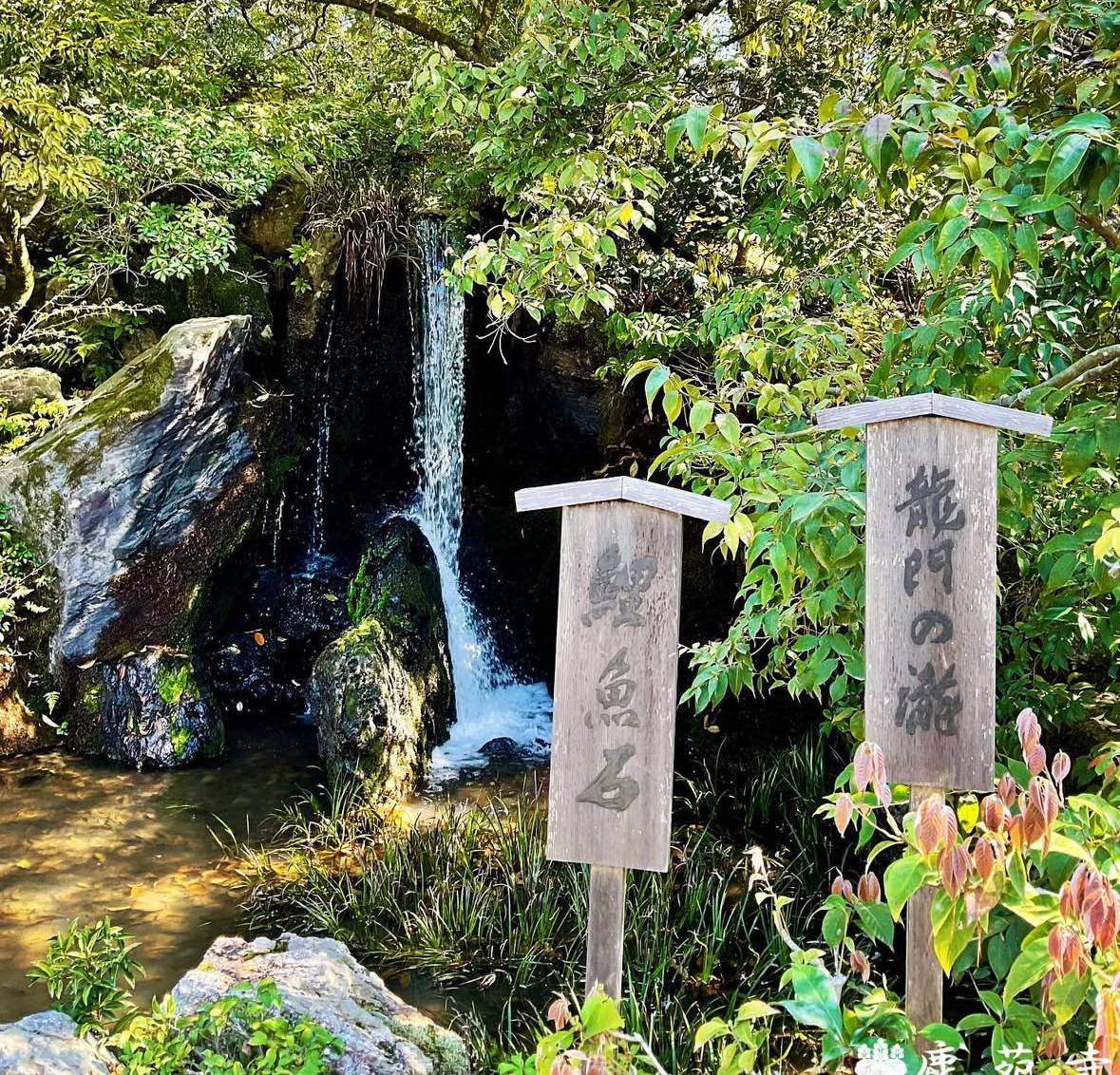 【京都全景一日遊】二條城&金閣寺&伏見稻荷大社千本鳥居&嵐山渡月橋&和服森林&竹林小徑（大阪或京都出發）