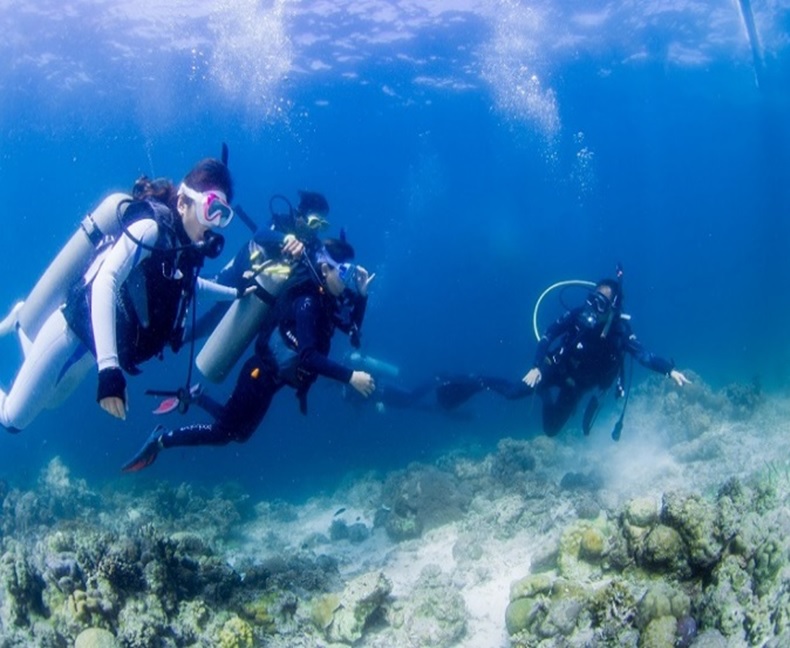 麥克坦島／希魯東根島休閒潛水體驗