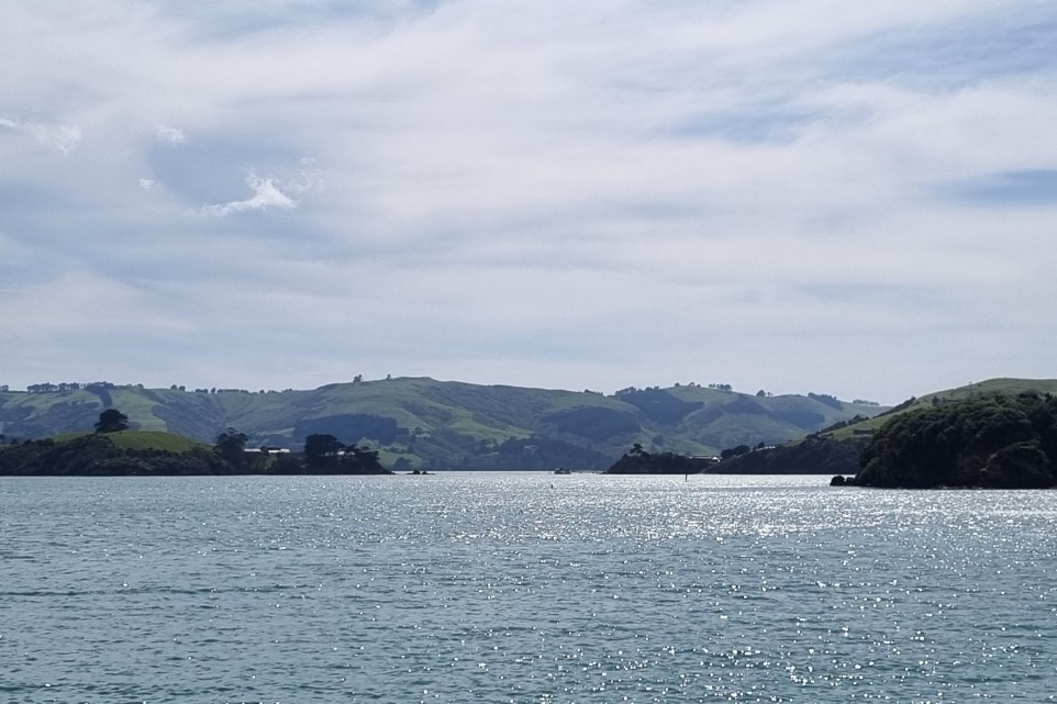 但尼丁大陸半島之旅