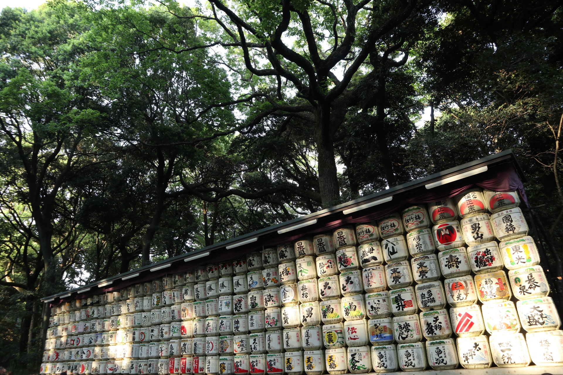 東京明治神宮與淺草寺 4 小時私人旅遊