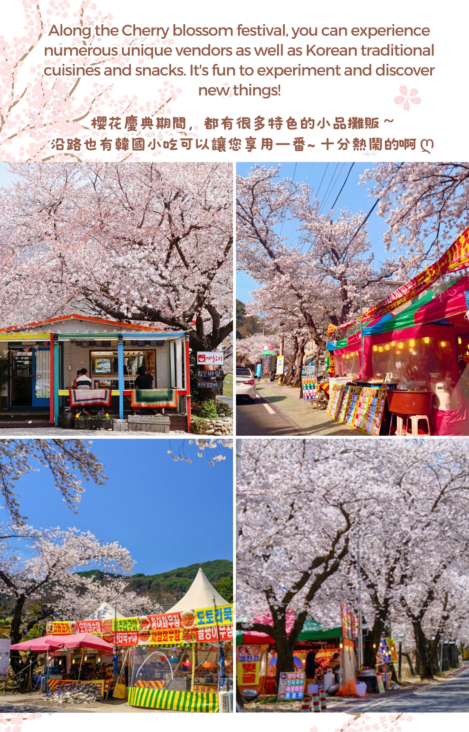 Hadong Cherry Blossom & Ssanggyesa & Flyway Cable Car Tour