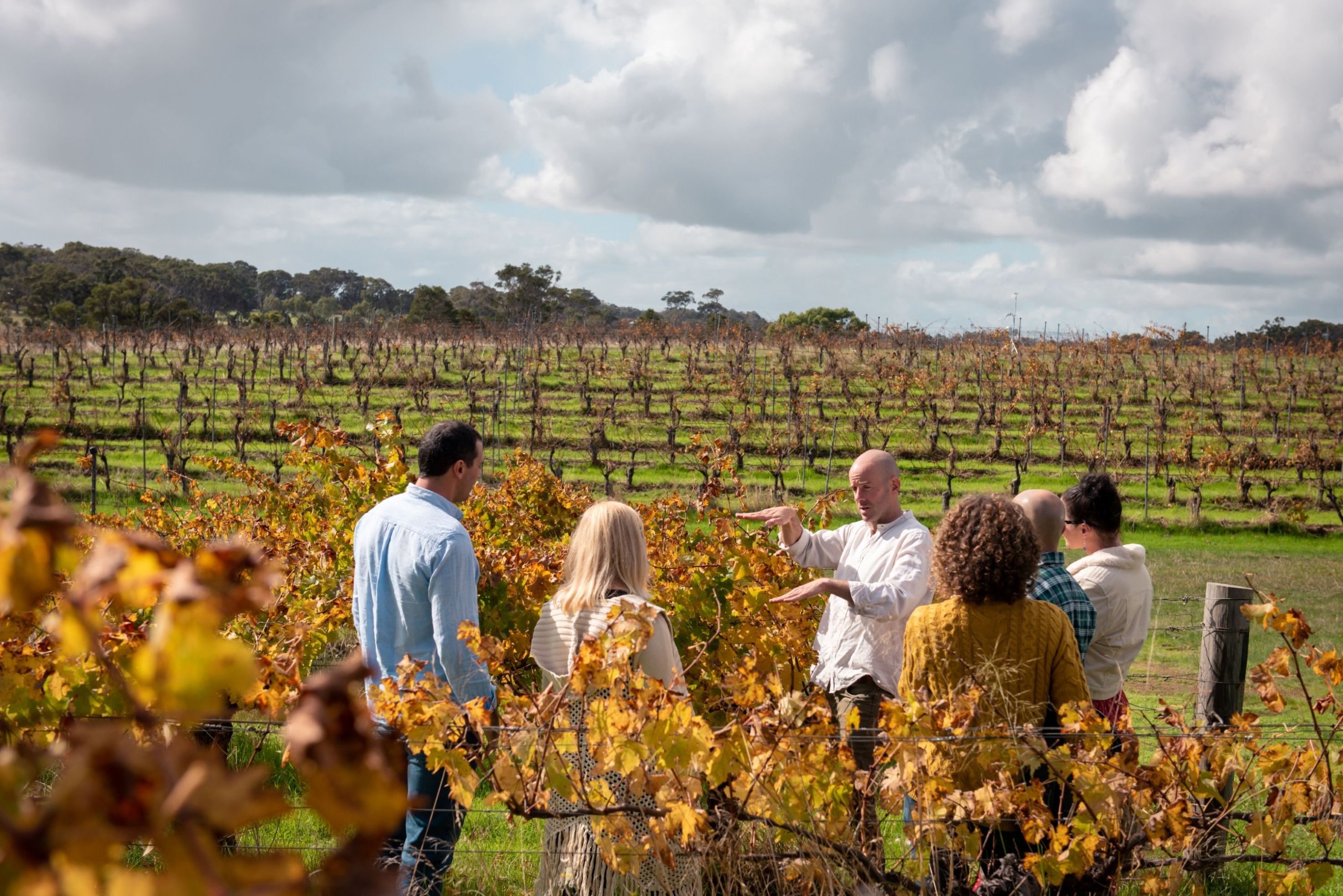 Hidden Gems Full-Day Wine Tour of Margaret River