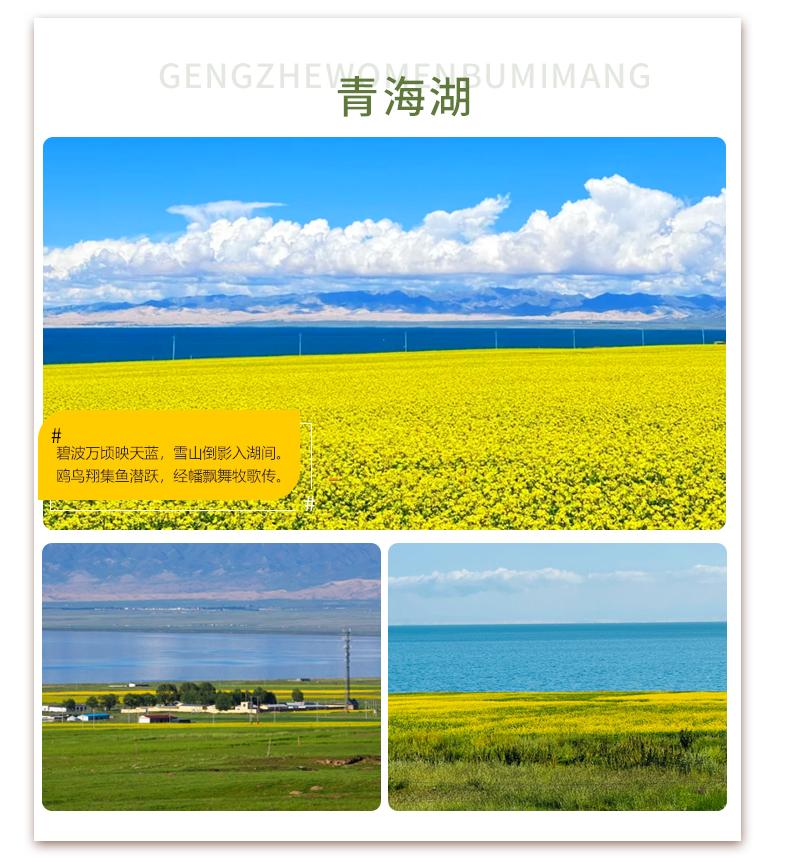 【青海湖】藏語稱“錯溫布”意為藍色的海洋,她有著純淨的天空,金黃的花海和比海更藍的湖水,波瀾壯闊的青海湖,碧波連天,宛若一盞巨大的翡翠平嵌在高山、草原之間,構成了一幅山、湖、草原相映成趣的壯美風光。 【青海湖】藏語稱“錯溫布”意為藍色的海洋,她有著純淨的天空,金黃的花海和比海更藍的湖水,波瀾壯闊的青海湖,碧波連天,宛若一盞巨大的翡翠平嵌在高山、草原之間,構成了一幅山、湖、草原相映成趣的壯美風光。