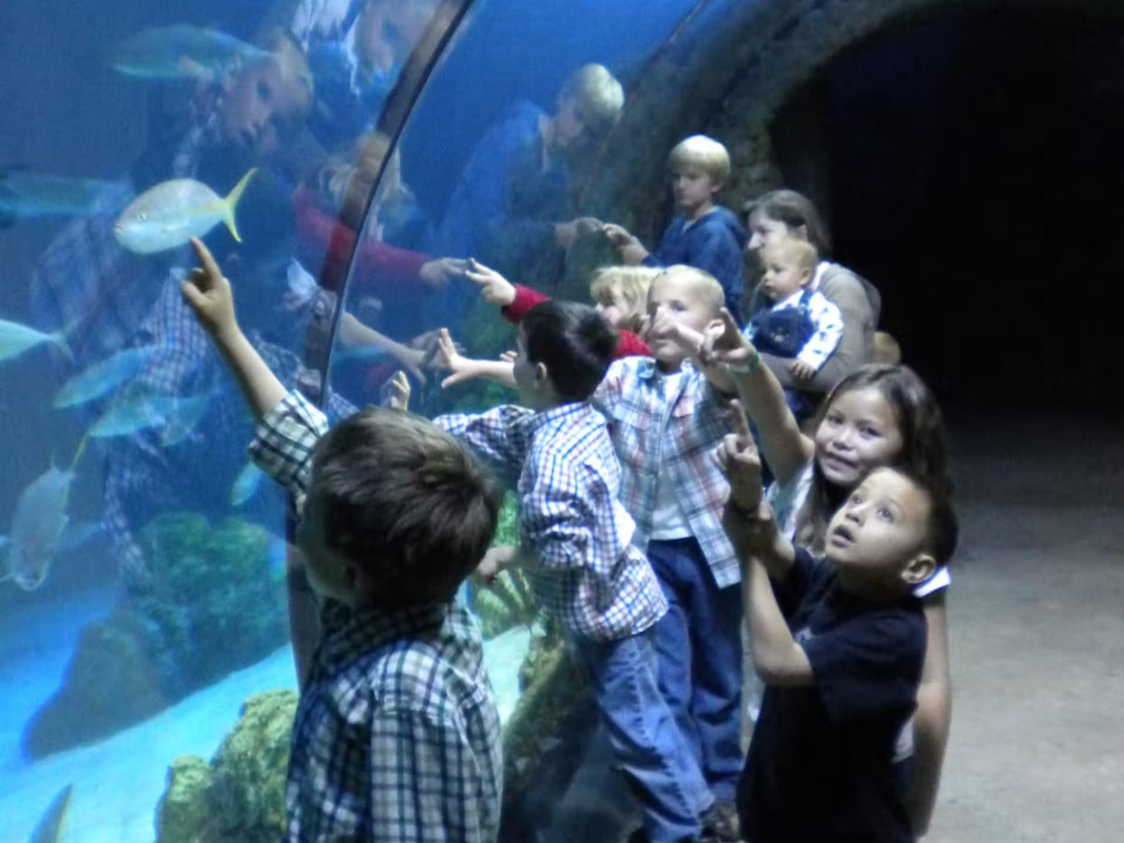 Pure joy and awe as children discover the beauty of ocean life up close, it’s where curiosity meets adventure