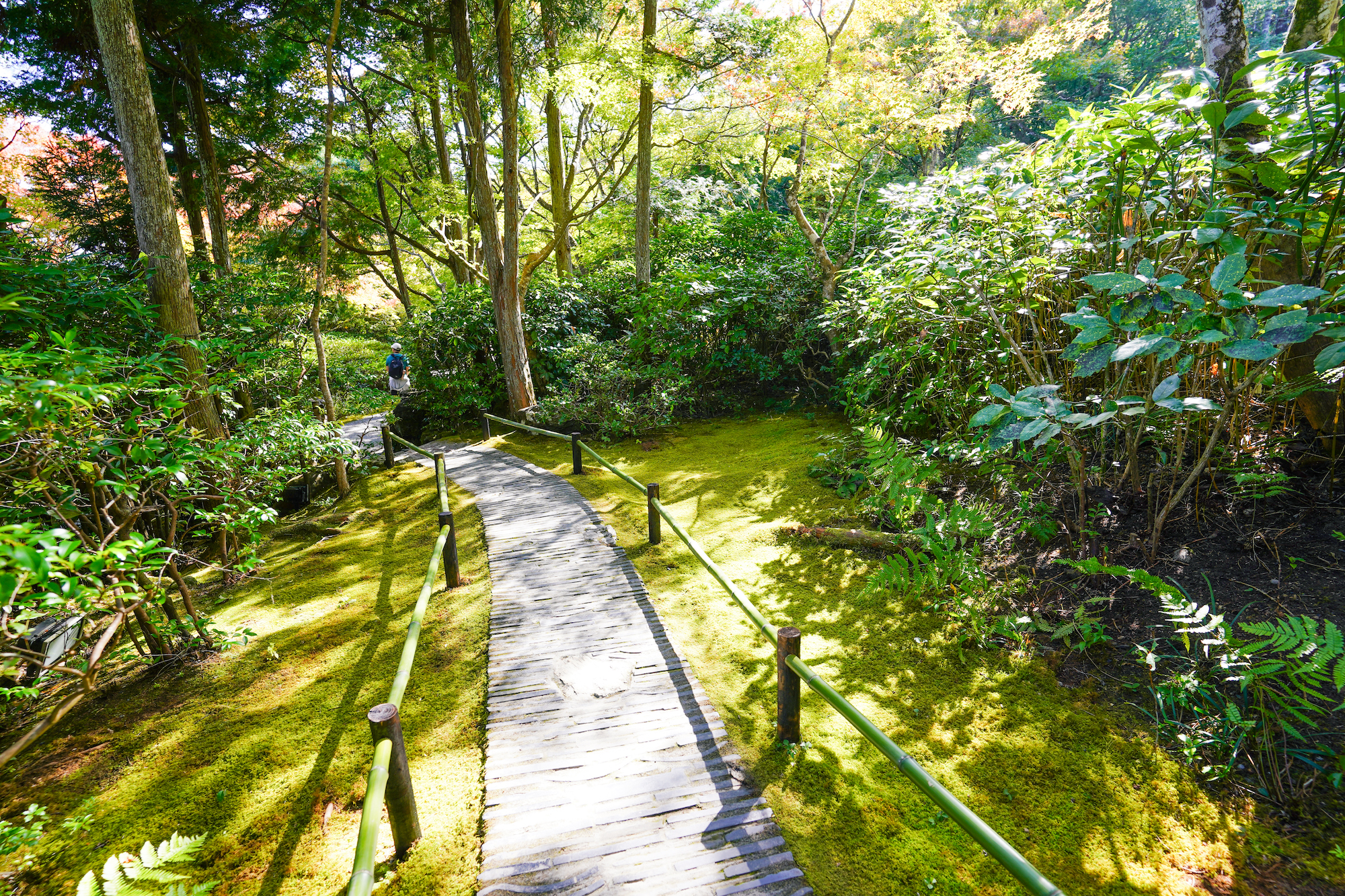 京都嵐山竹林 & 花園半日徒步之旅