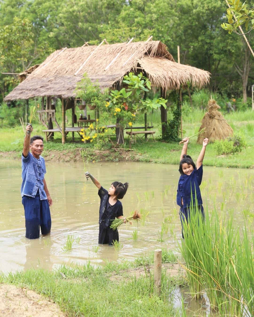 Join Kid Junior Farmer Experience in Chiang Mai