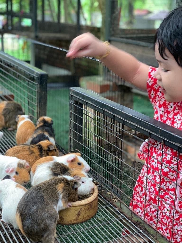 雪蘭莪沙登G2G動物園門票