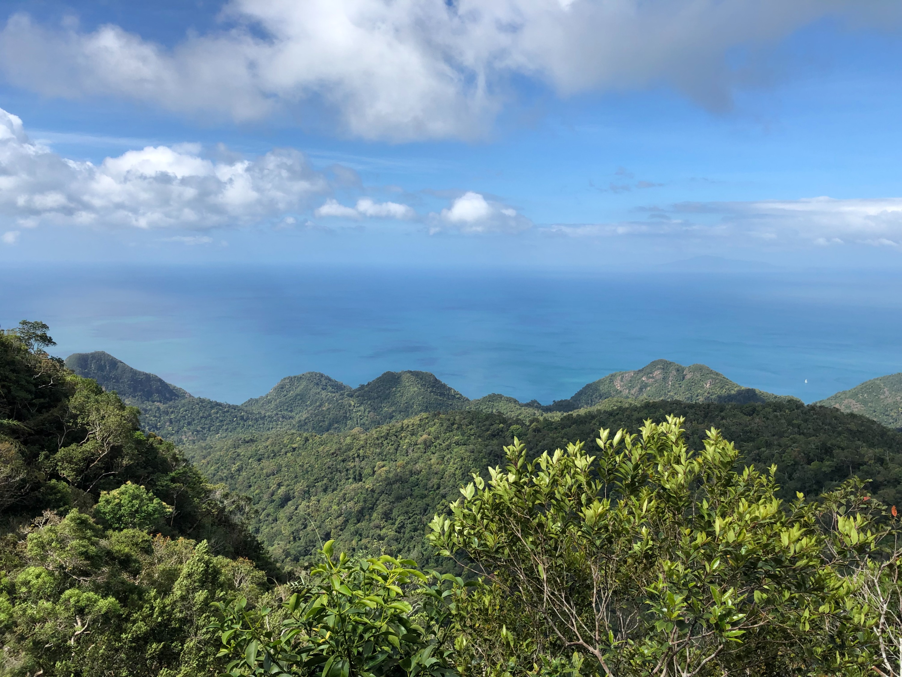 蘭卡威健行 Matchinchang 山地質森林公園