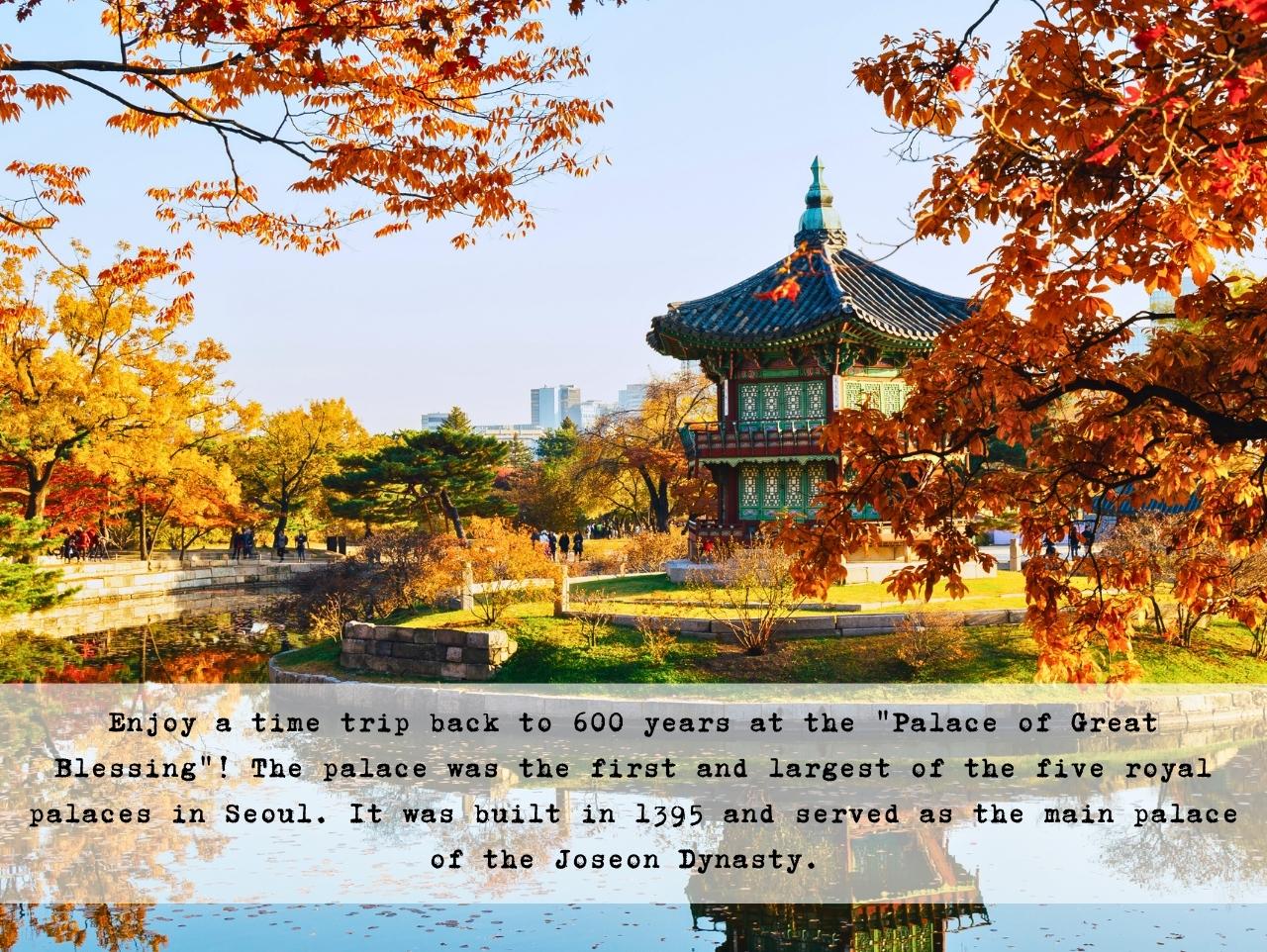 [Lunch + Hanbok included] Gyeongbokgung, Seochon, Tongin Market Tour