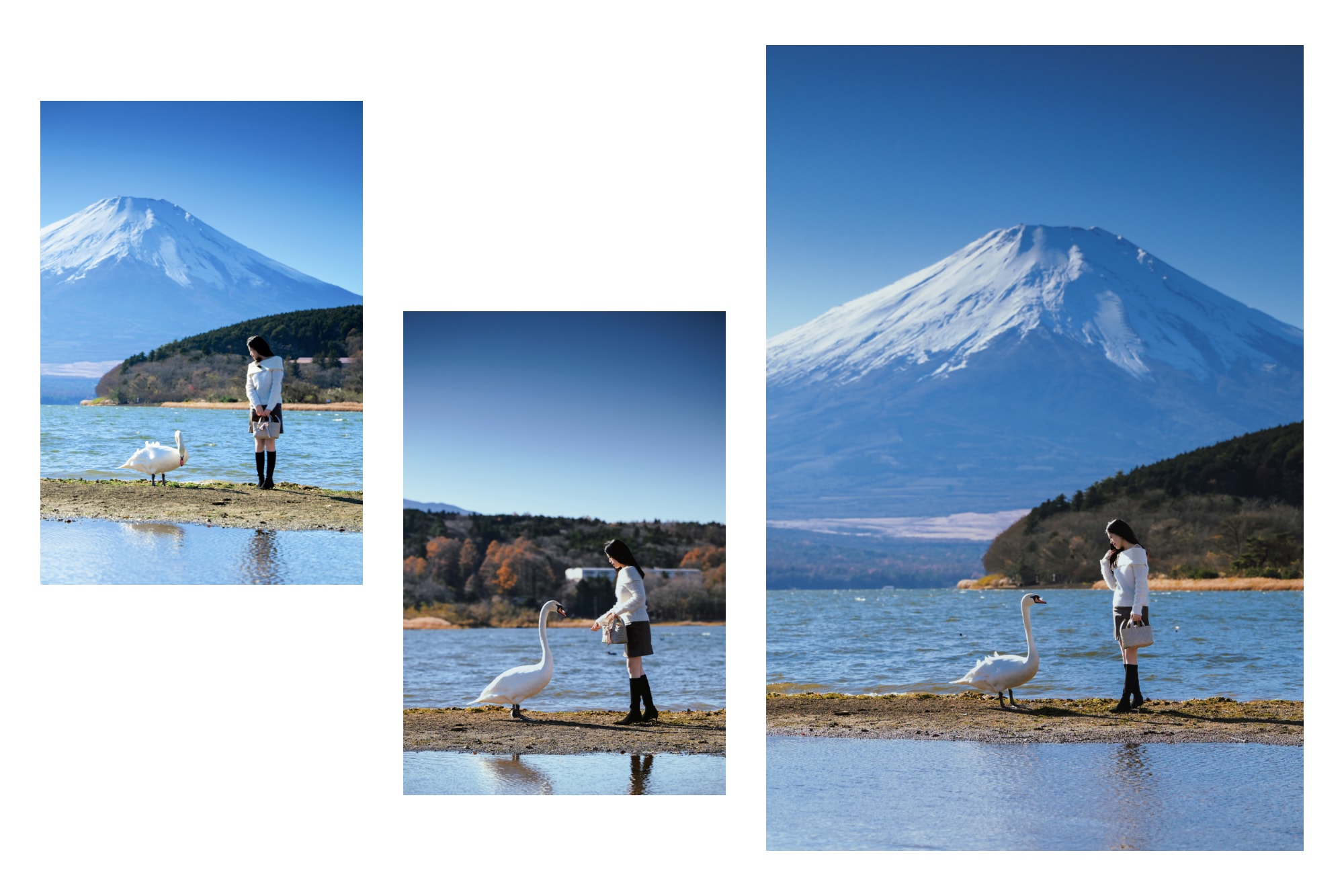 攝影（富士山、輕井澤、鎌倉、川越等地探險也是可能的）