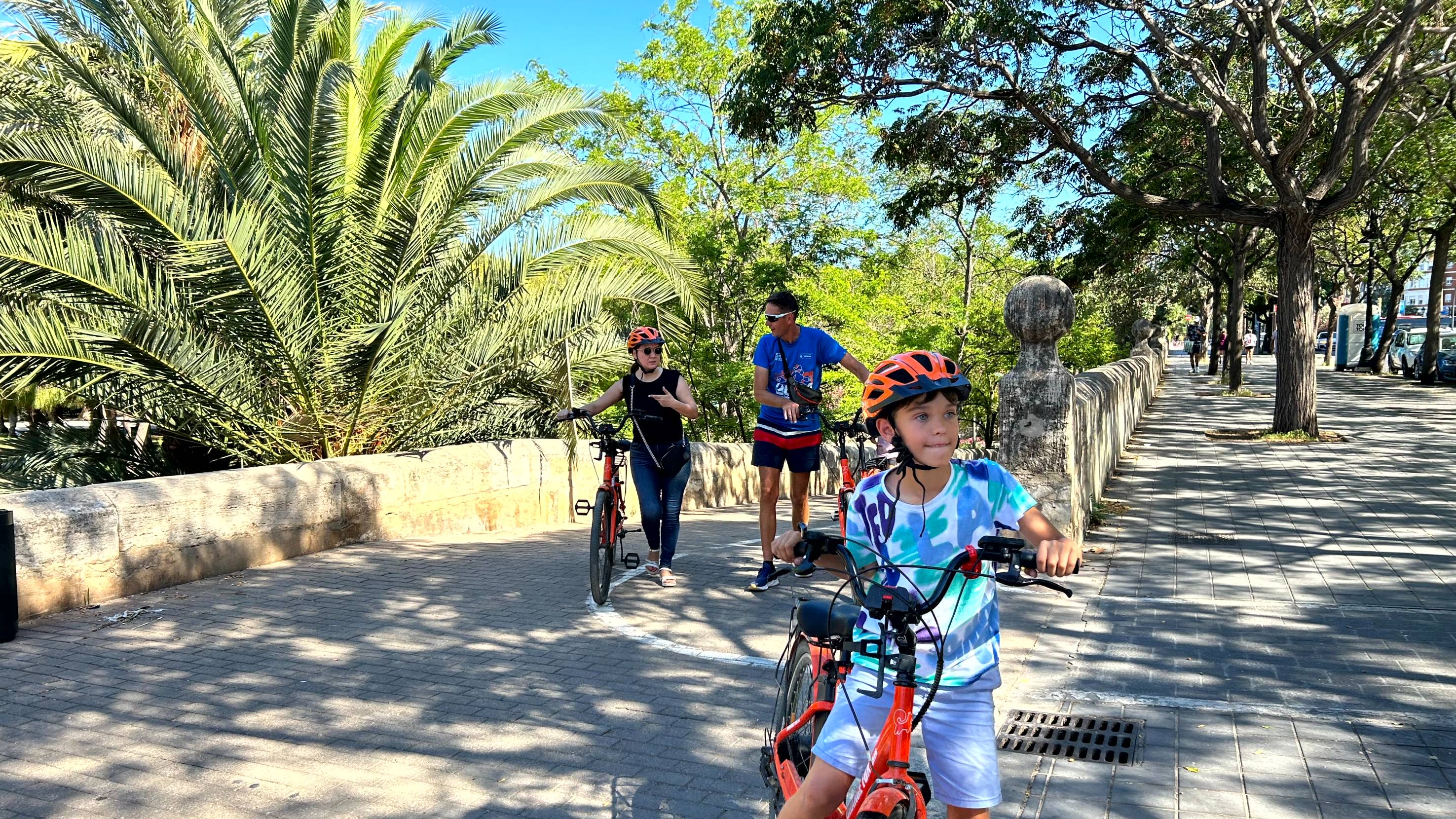 瓦倫西亞城市與歷史單車遊 (City and history bike tour in Valencia)