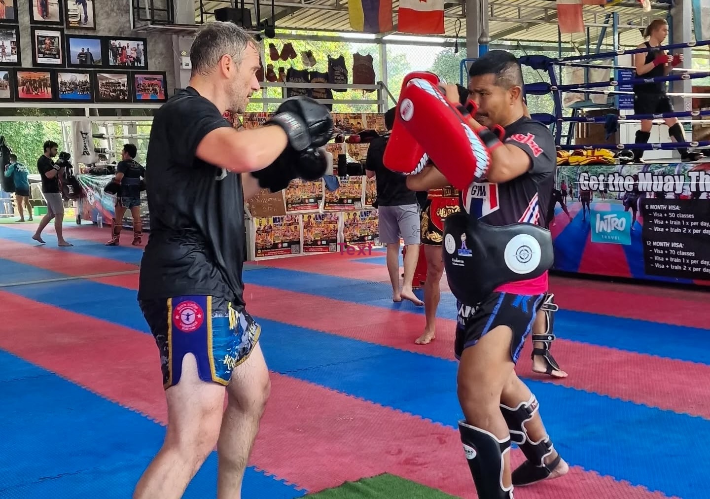 參加入門級泰拳課程，學習基本知識和正確技巧，為日後更進階的訓練做好準備。