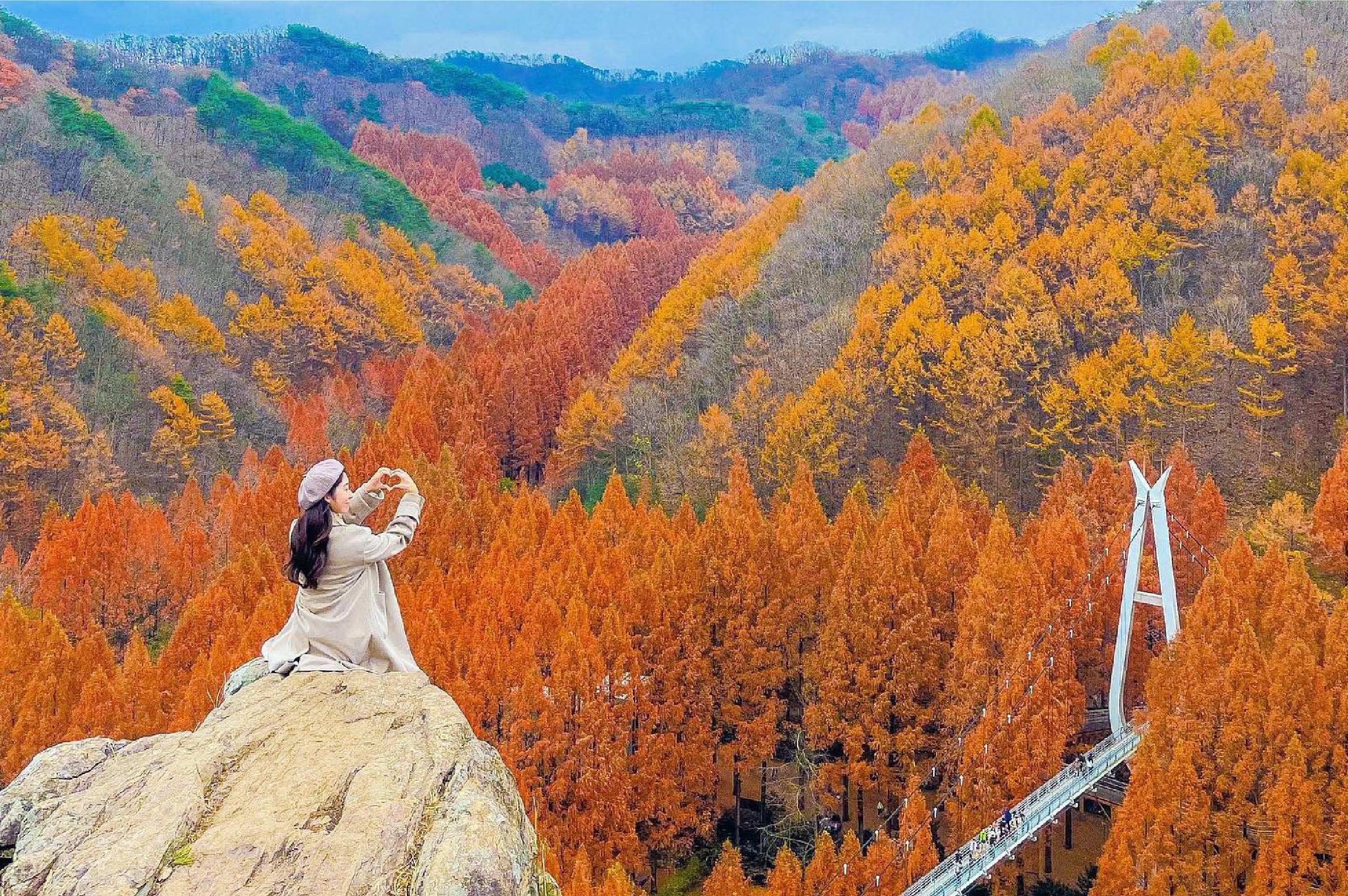 全州韓屋村＆季節性熱門景點一日遊