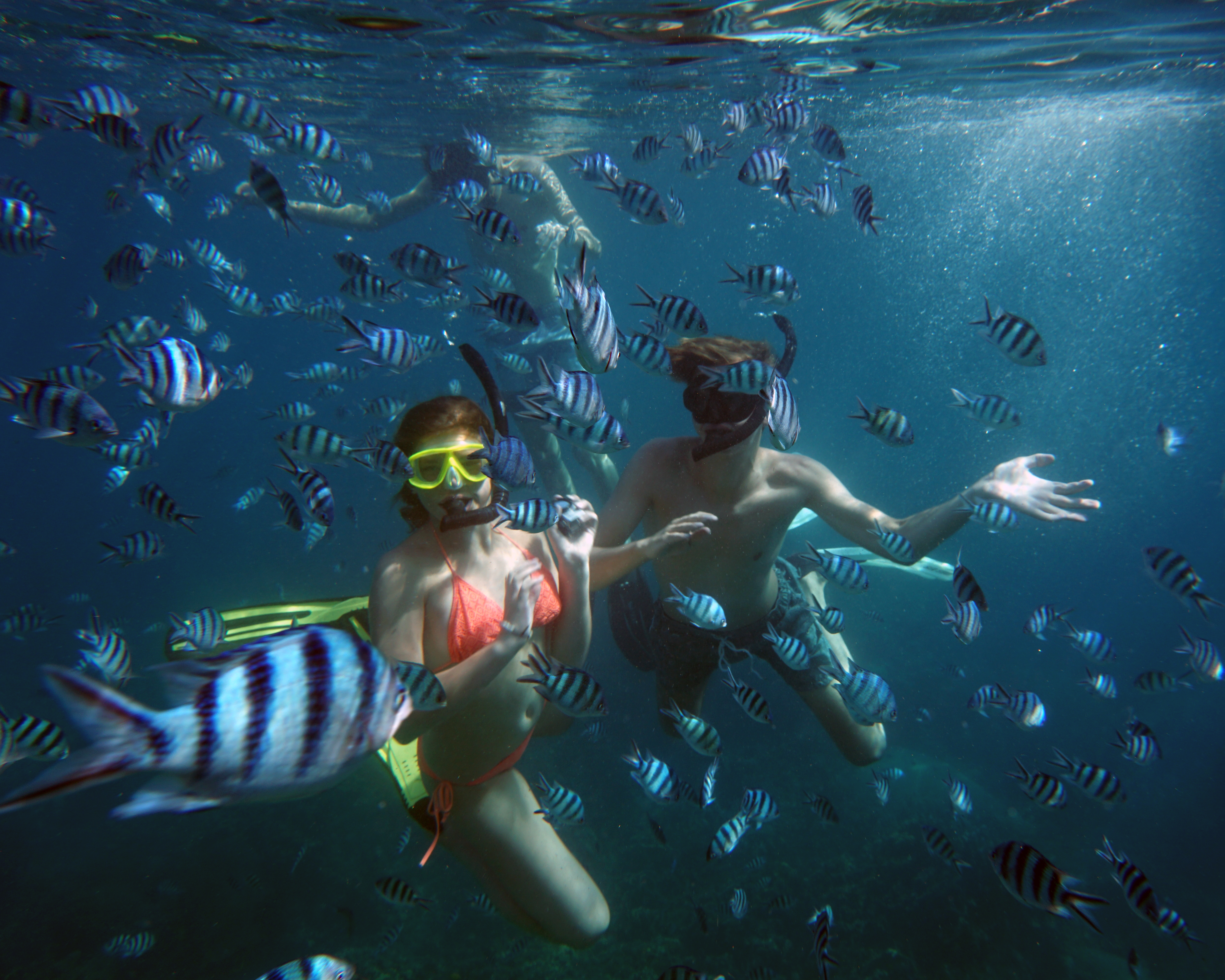 Full Day Snorkelling Trip in Koh Tao with PADI Resort