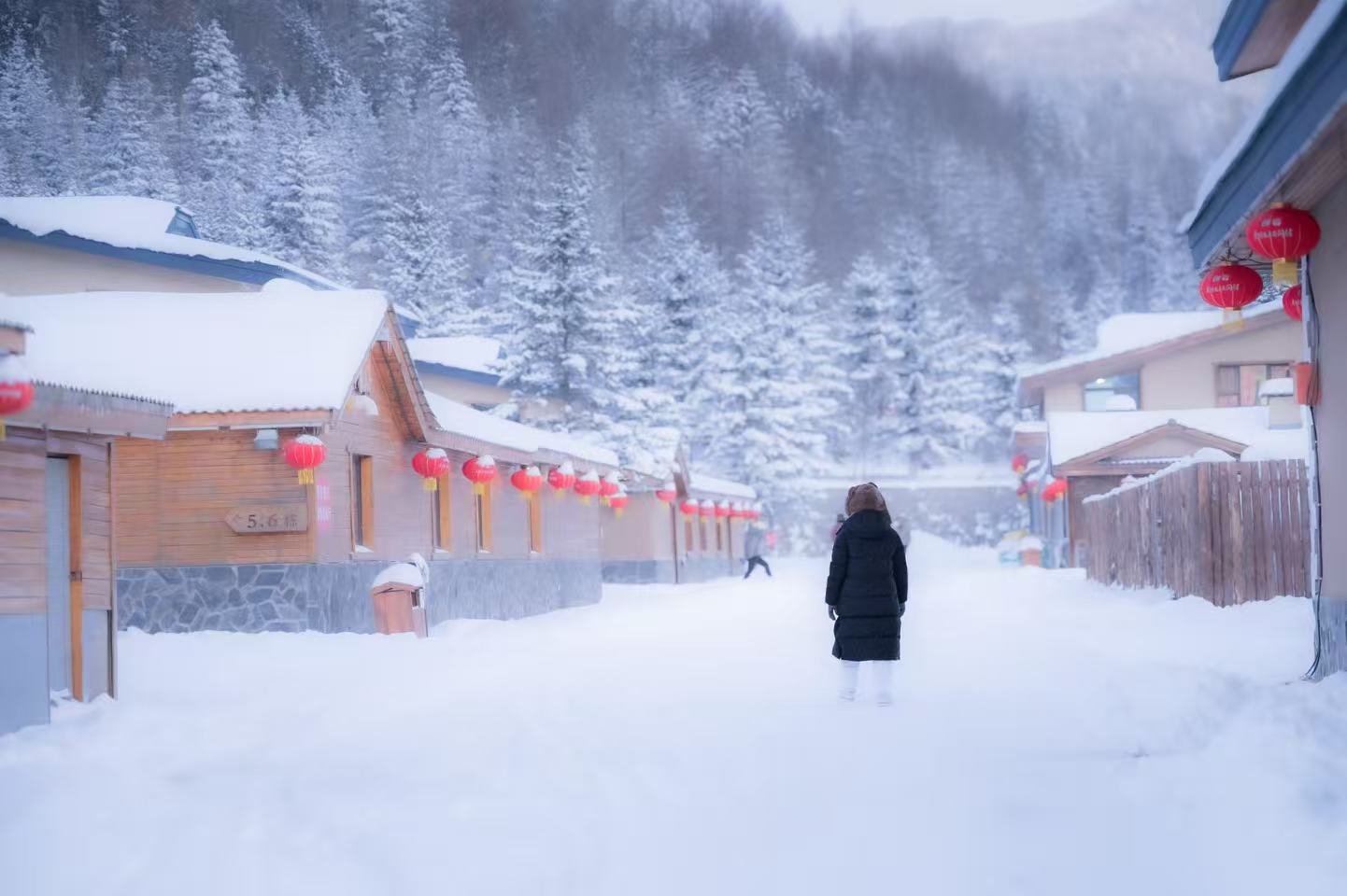 雪鄉的街巷落滿厚厚積雪，木屋屋簷堆起蓬鬆白雪，紅燈籠沿街高高懸掛。行人漫步在潔白街道，遠處是茫茫雪林。冷暖色調相融，勾勒出靜謐閒適，充滿東北菸火氣息的冬日村落畫卷
