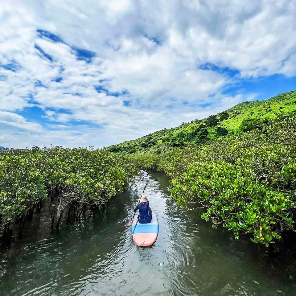 [Marine Trainee] Two-in-one Certificate Course | SUP and Canoe Junior Certificate | Sai Kung