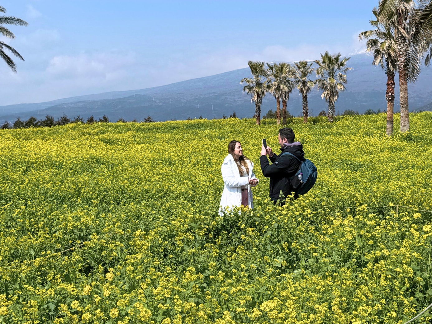 Jeju Canola Flower Tours with UNESCO Sites