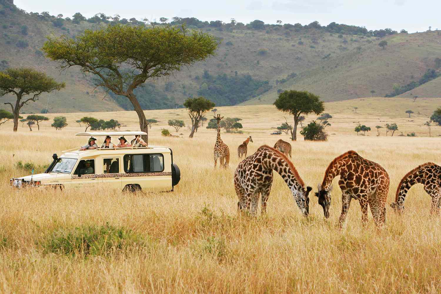  5 Days Masai Mara,Lake Nakuru,Lake Naivash Magical Wildlife Safari