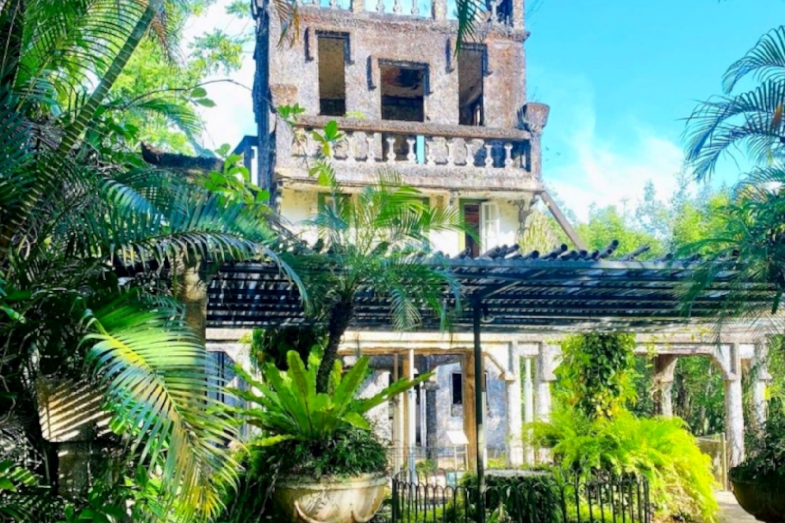 Cairns Sky City Paronella Park Blue Light Firefly Night Tour with Dinner (Chinese Guided Tour)