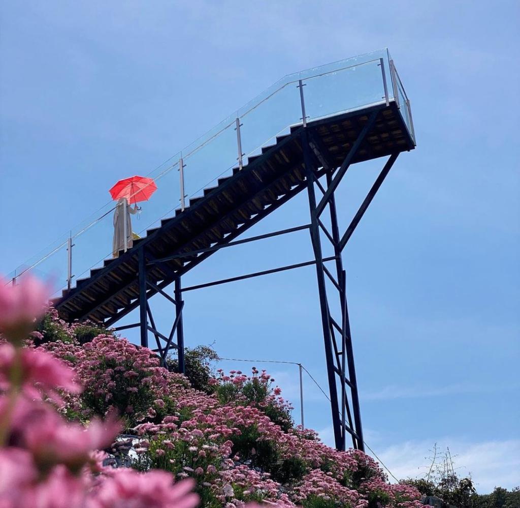 金馬侖高原植物園門票