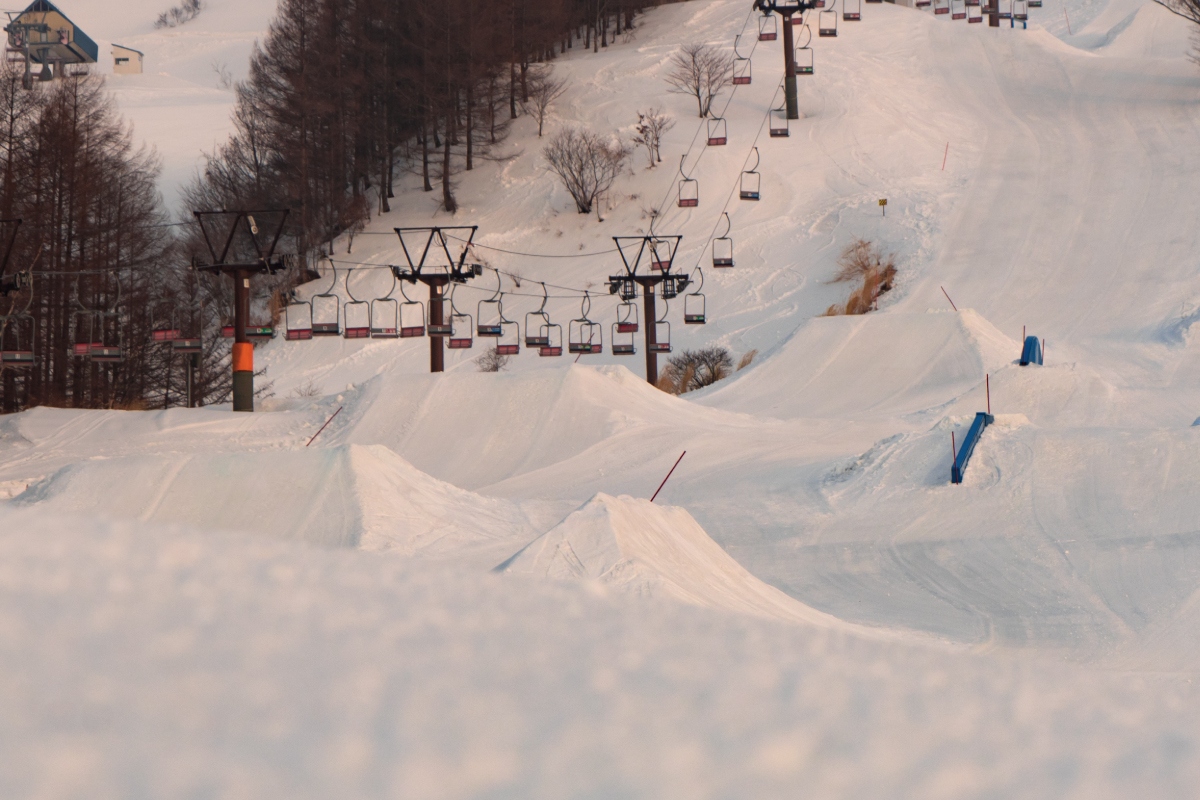 Hachi Kogen Snow Igloo & Snow Play Experience Day Tour from Osaka